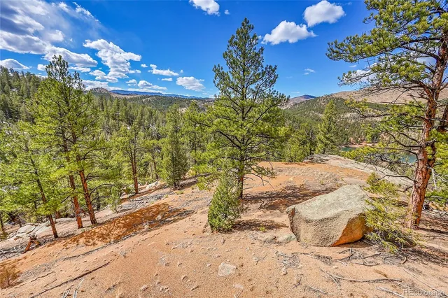 a view of a yard with a tree