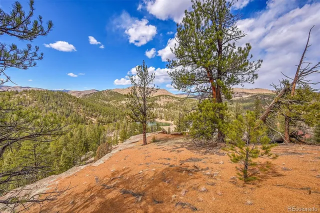 a aerial view of a yard