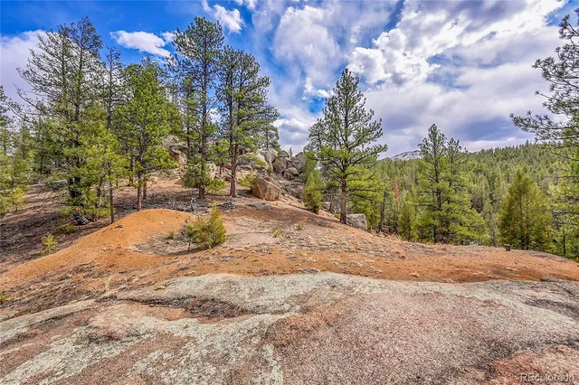 a view of a town with mountains in the background