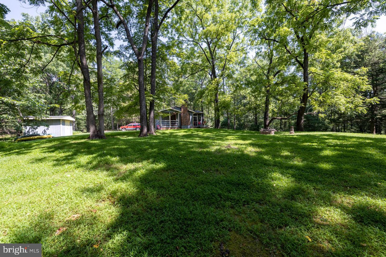 1017 North Maple Road Mount Jackson, VA 22842 - Photo 24 of 37 a view of green field with trees in the background