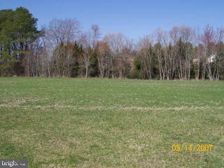 6331 Basket Switch Road Newark, MD 21841 - Photo 5 of 9 a view of a field with trees in the background