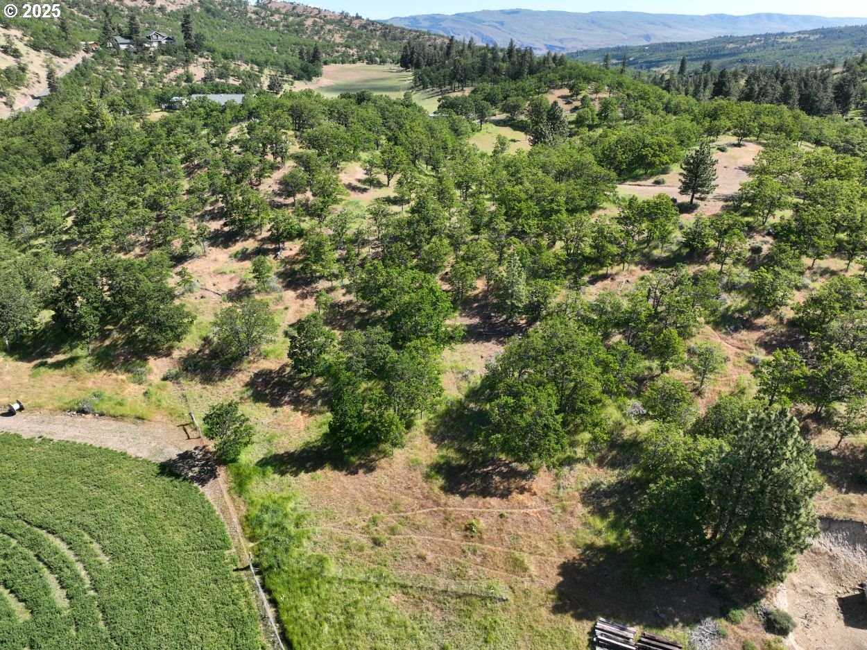 4397 Browns Creek Road The Dalles, OR 97058 - Photo 11 of 37 a view of a forest with a yard