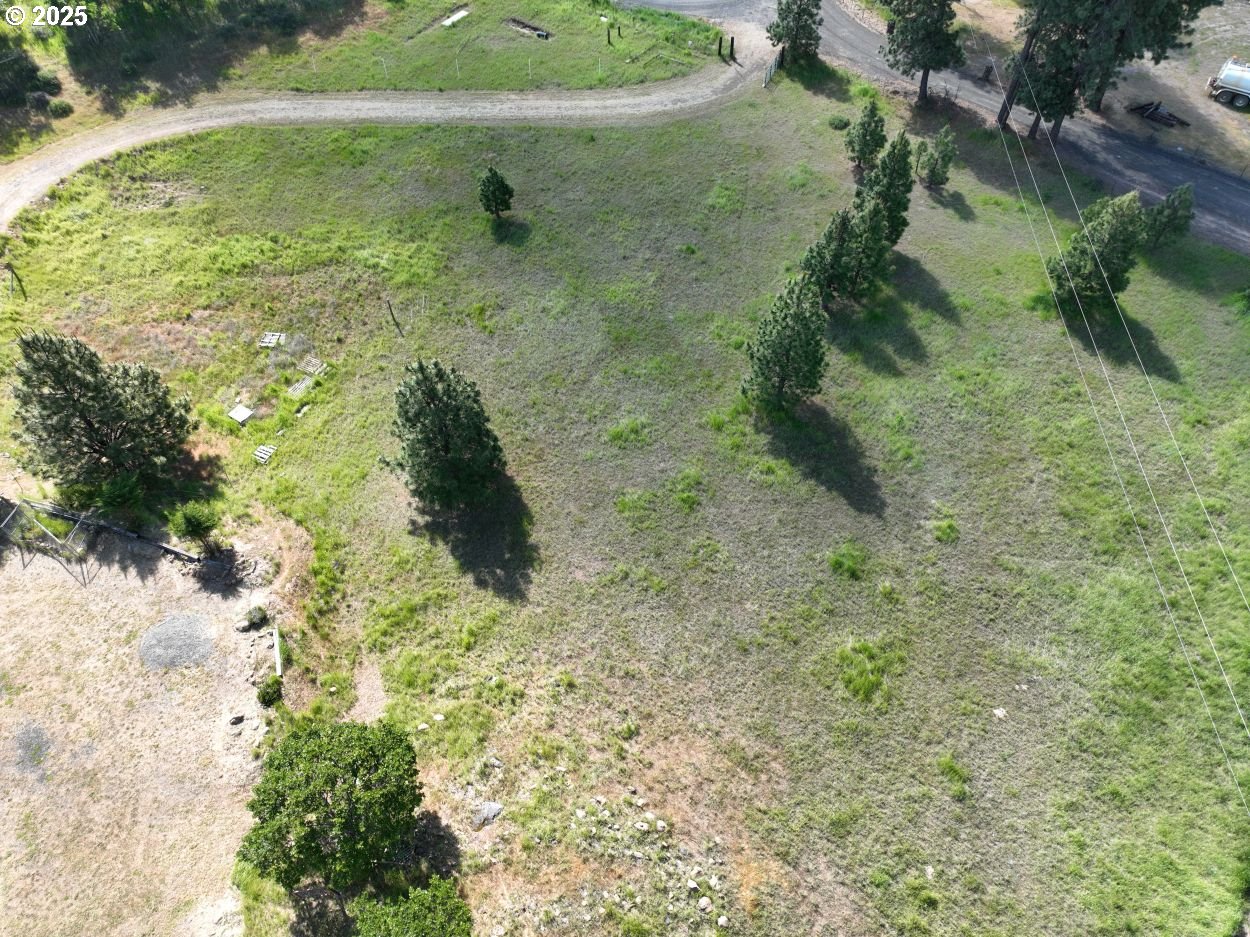 4397 Browns Creek Road The Dalles, OR 97058 - Photo 15 of 37 a view of plant in a yard