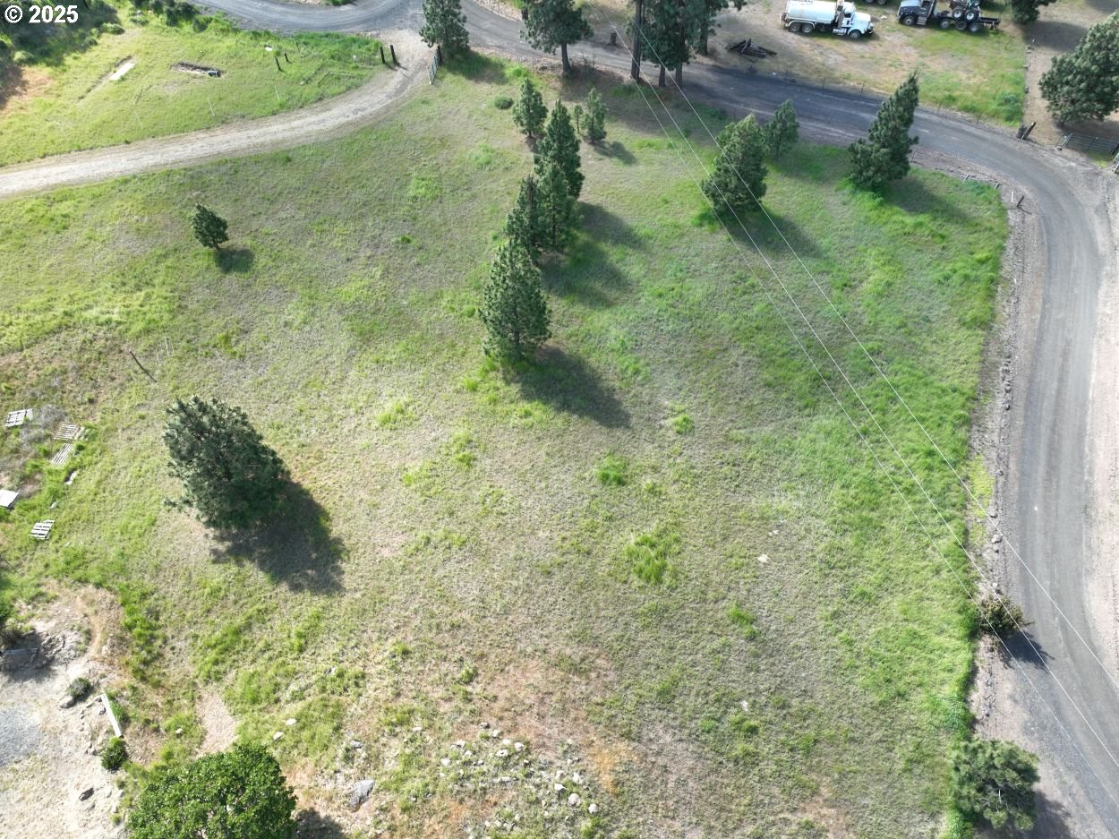4397 Browns Creek Road The Dalles, OR 97058 - Photo 16 of 37 a view of a yard