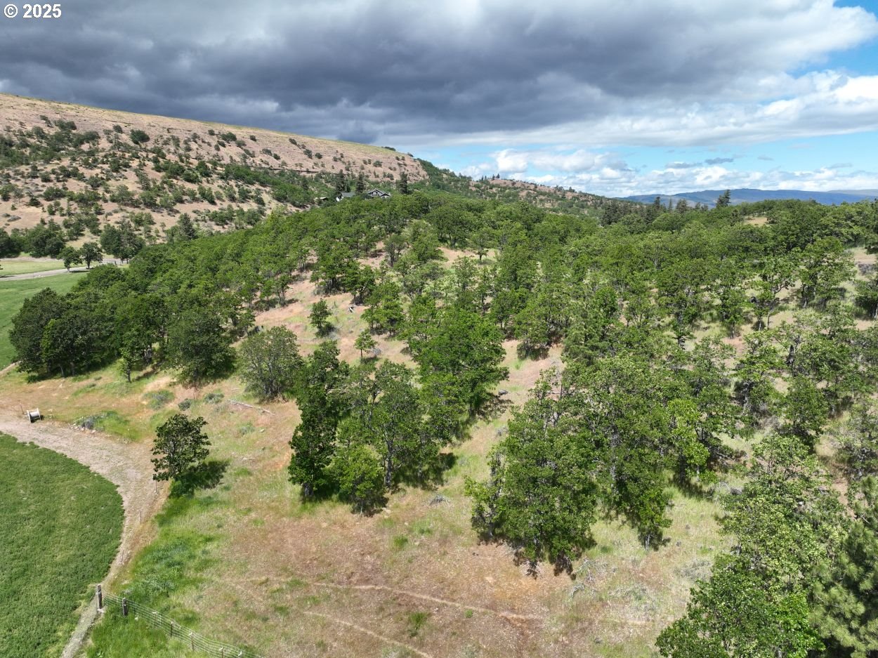 4397 Browns Creek Road The Dalles, OR 97058 - Photo 7 of 37 a view of a yard with plants and a bench