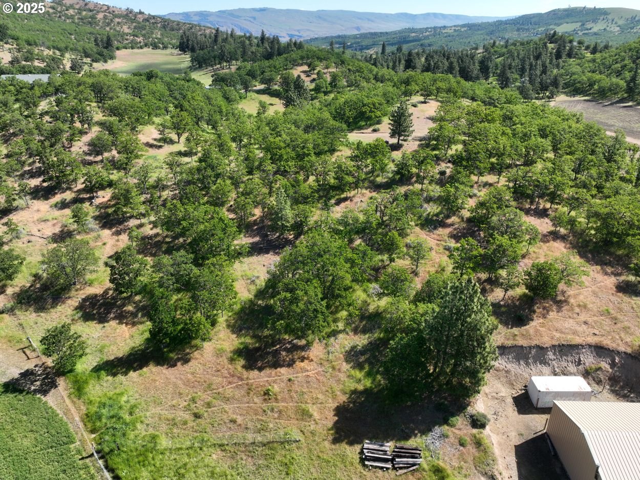 4397 Browns Creek Road The Dalles, OR 97058 - Photo 10 of 37 an aerial view of residential houses with outdoor space and trees