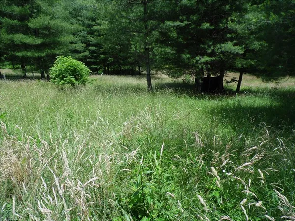 $45,000 | 18 Highway 18 North, Sparta, NC 28675