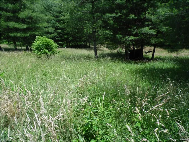 $45,000 | 18 Highway 18 North, Sparta, NC 28675