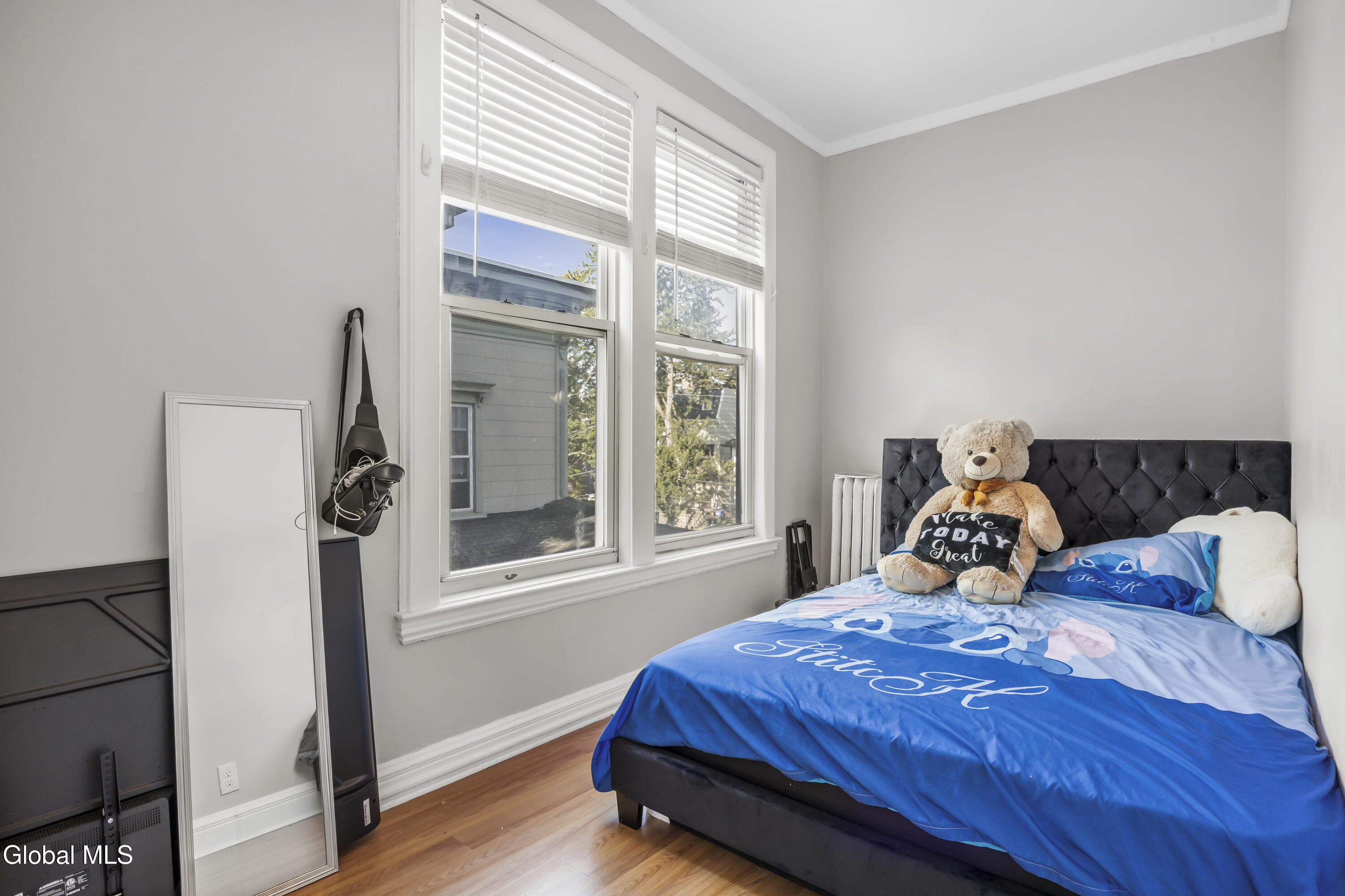 102 South Lake Avenue Albany, NY 12208 - Photo 29 of 68 29