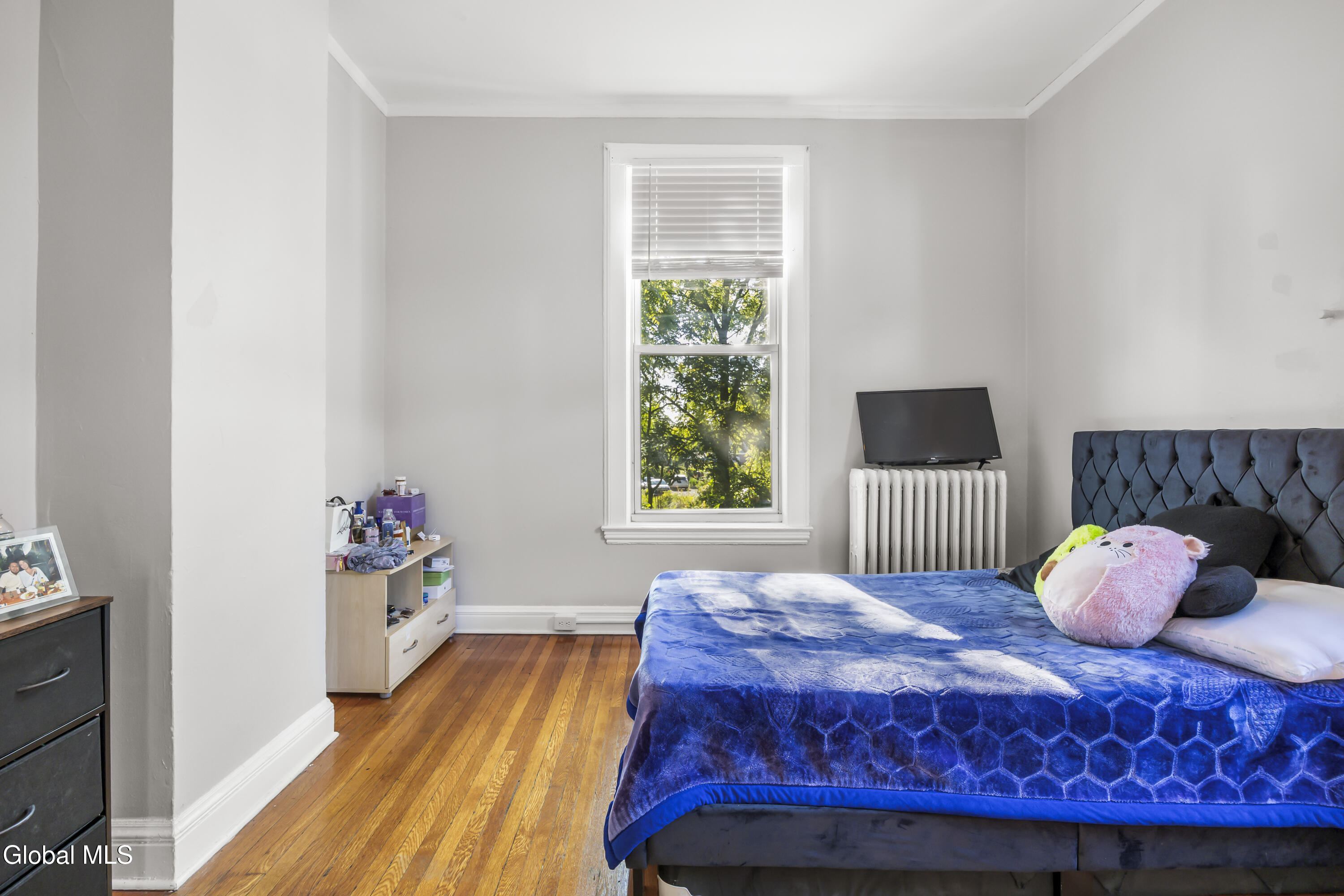 102 South Lake Avenue Albany, NY 12208 - Photo 31 of 68 31