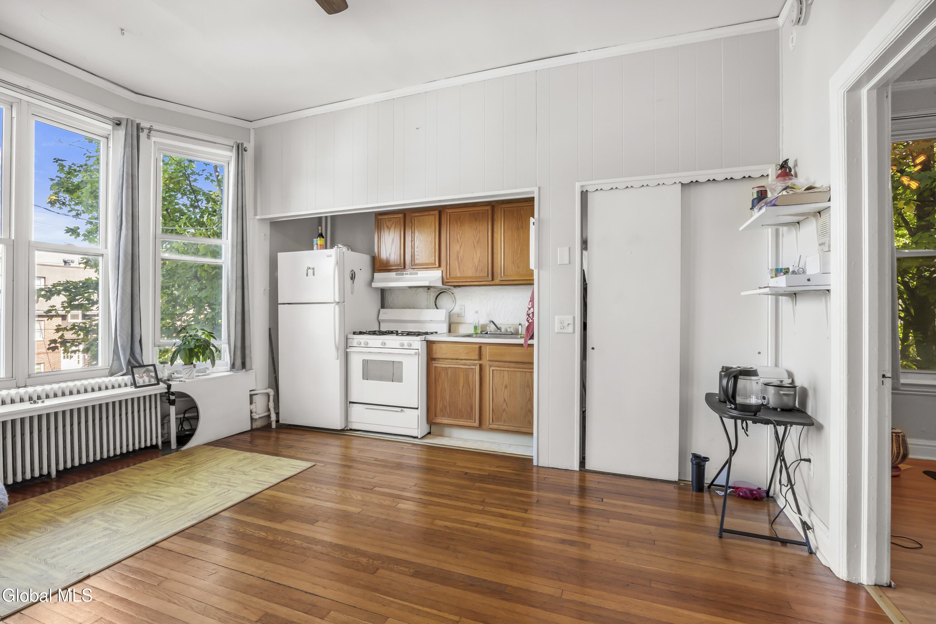 102 South Lake Avenue Albany, NY 12208 - Photo 45 of 68 45