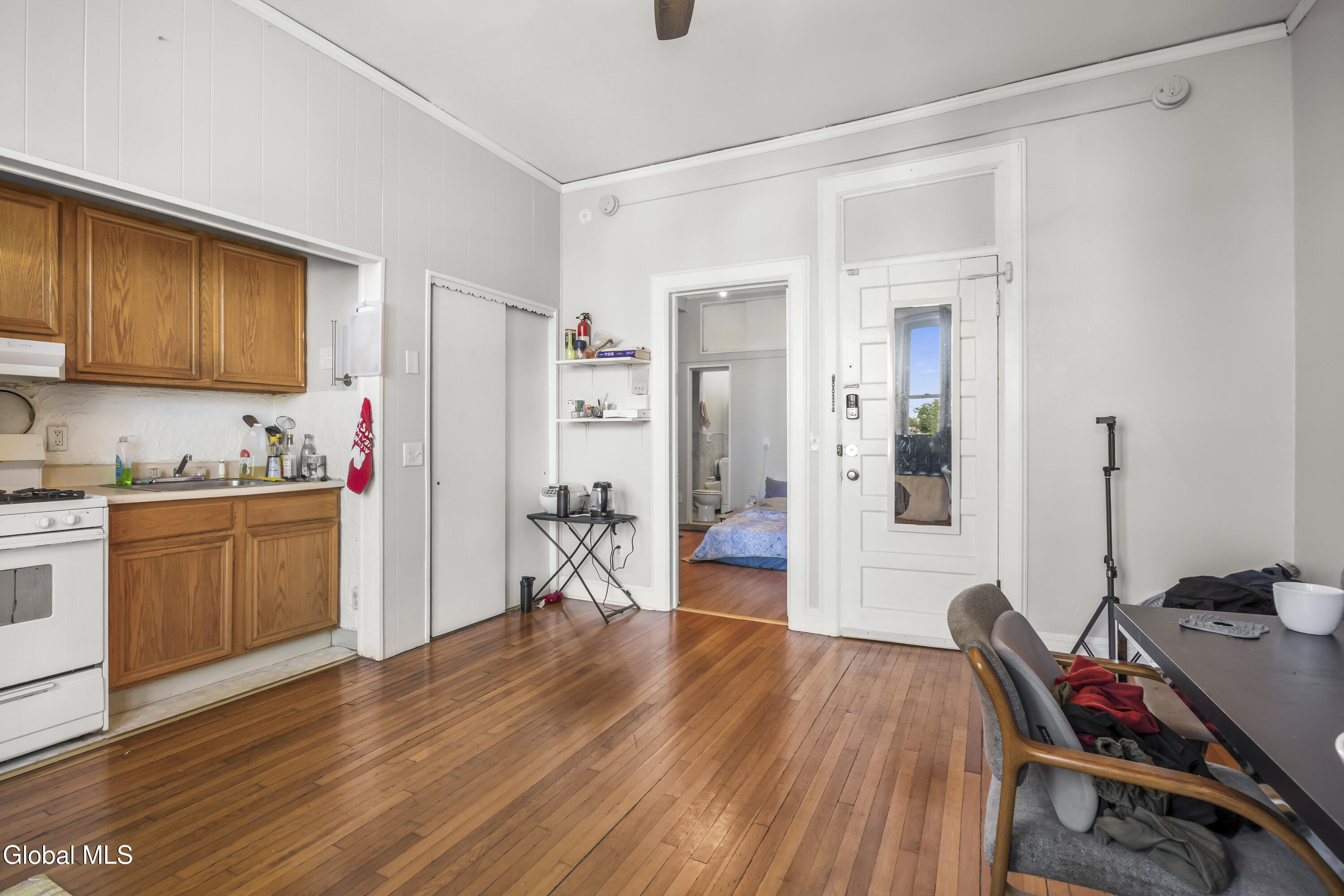 102 South Lake Avenue Albany, NY 12208 - Photo 46 of 68 46