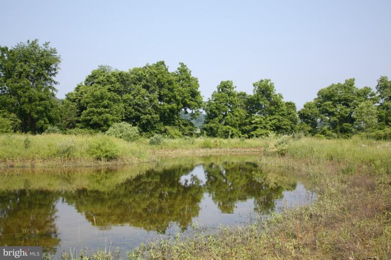 258 Old Baltimore Road Winchester, VA 22603 - Photo 19 of 26 Pond