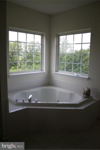 258 Old Baltimore Road Winchester, VA 22603 - Photo 7 of 26 Bath (Master)