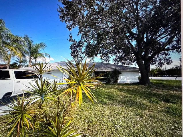 a view of a yard with plants and trees