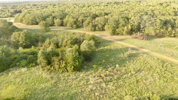 a view of yard with green space