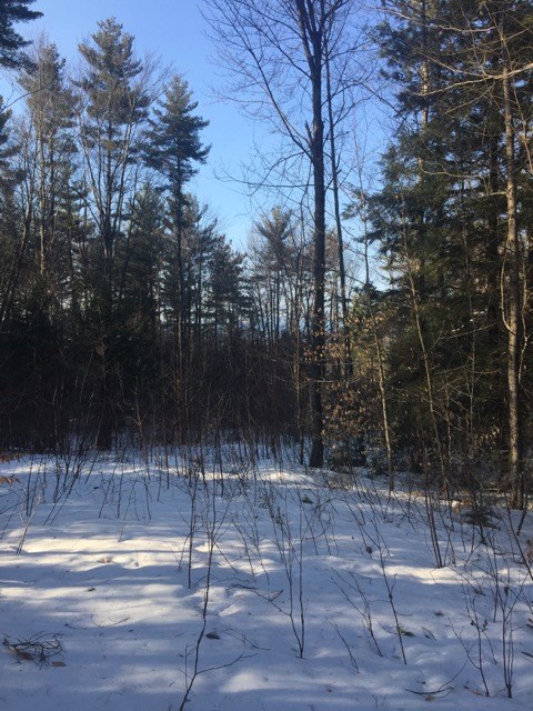 Lot 323 Garmish Road Conway, NH 03818 - Photo 2 of 2 Gallery Image 2
