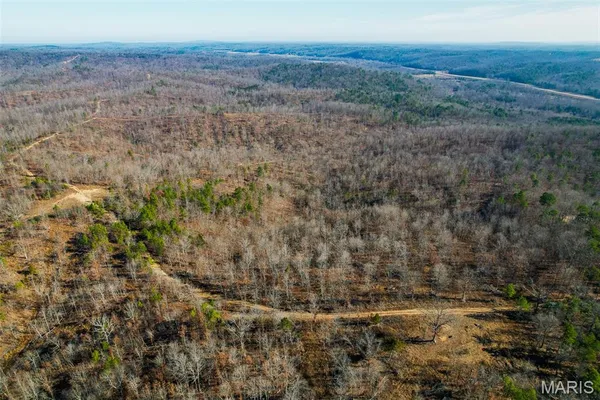 $43,995 | 134 Madison Cr, Fredericktown, MO 63645