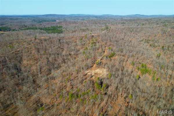 $43,995 | 134 Madison Cr, Fredericktown, MO 63645