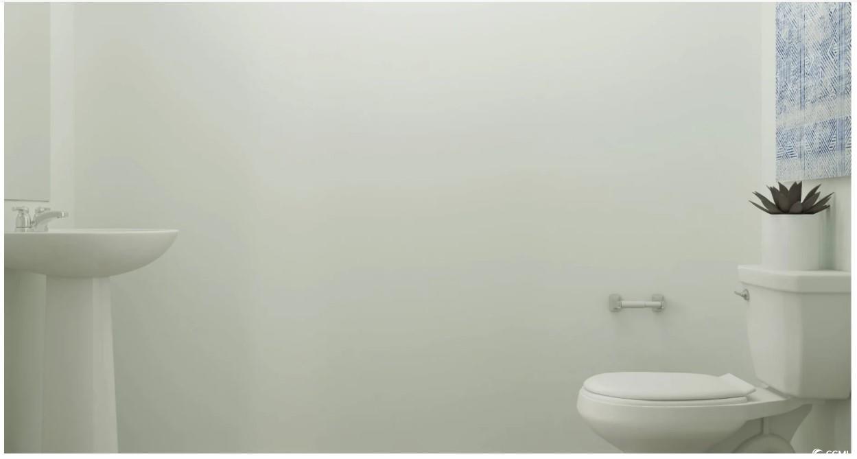 516 Runway Train Drive Loris, SC 29569 - Photo 11 of 20