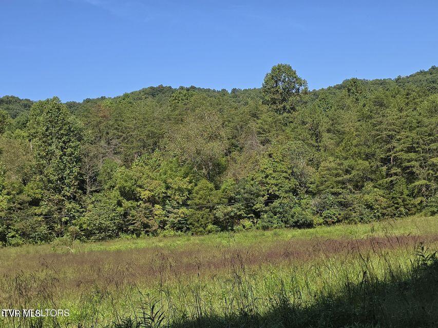 170 Parker Road Eidson, TN 37731 - Photo 32 of 60 32