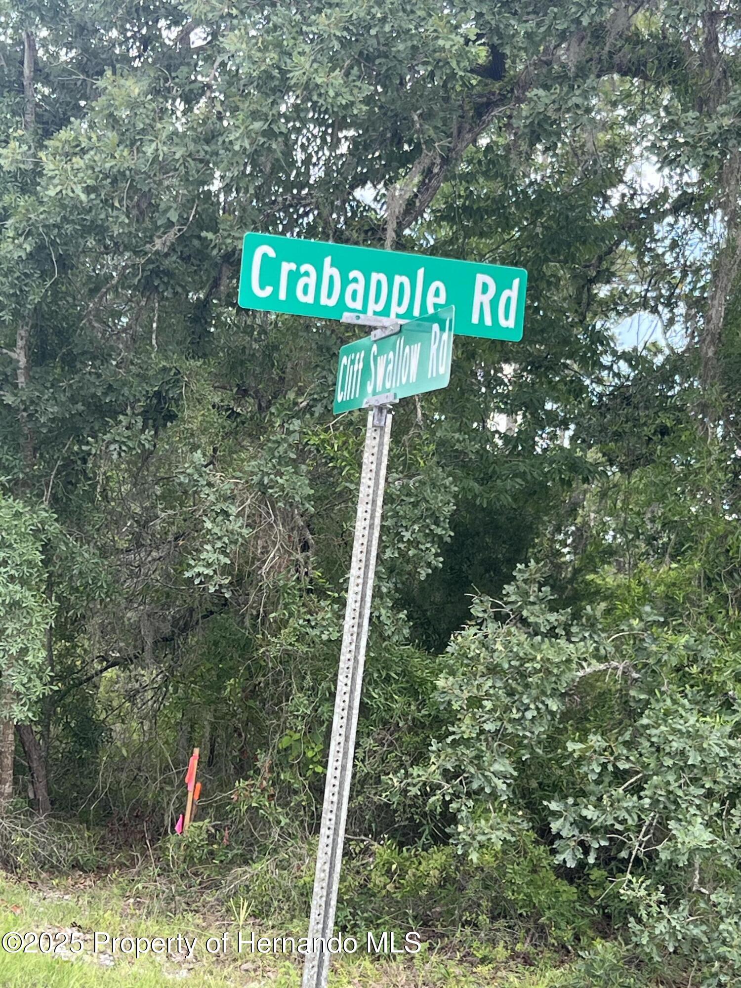 0 Crabapple Road Weeki Wachee, FL 34614 - Photo 1 of 6