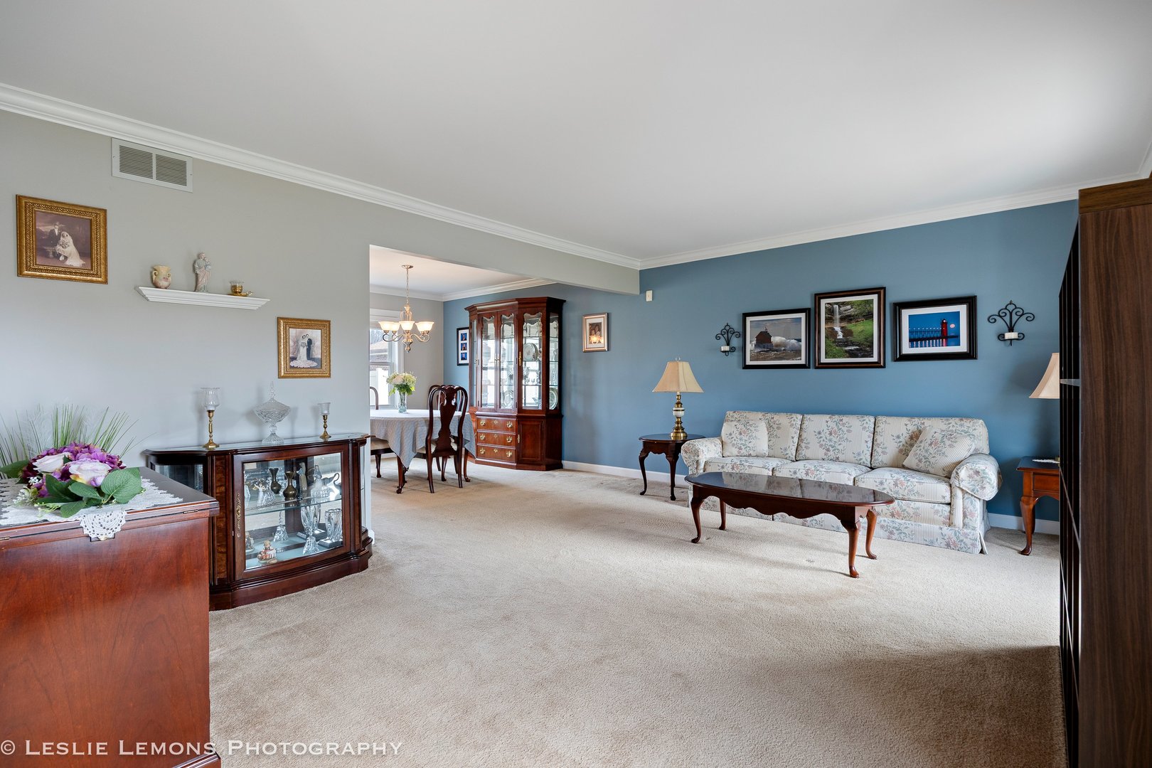 3432 Drover Lane Darien, IL 60561 - Photo 12 of 29 a living room with furniture and a potted plant