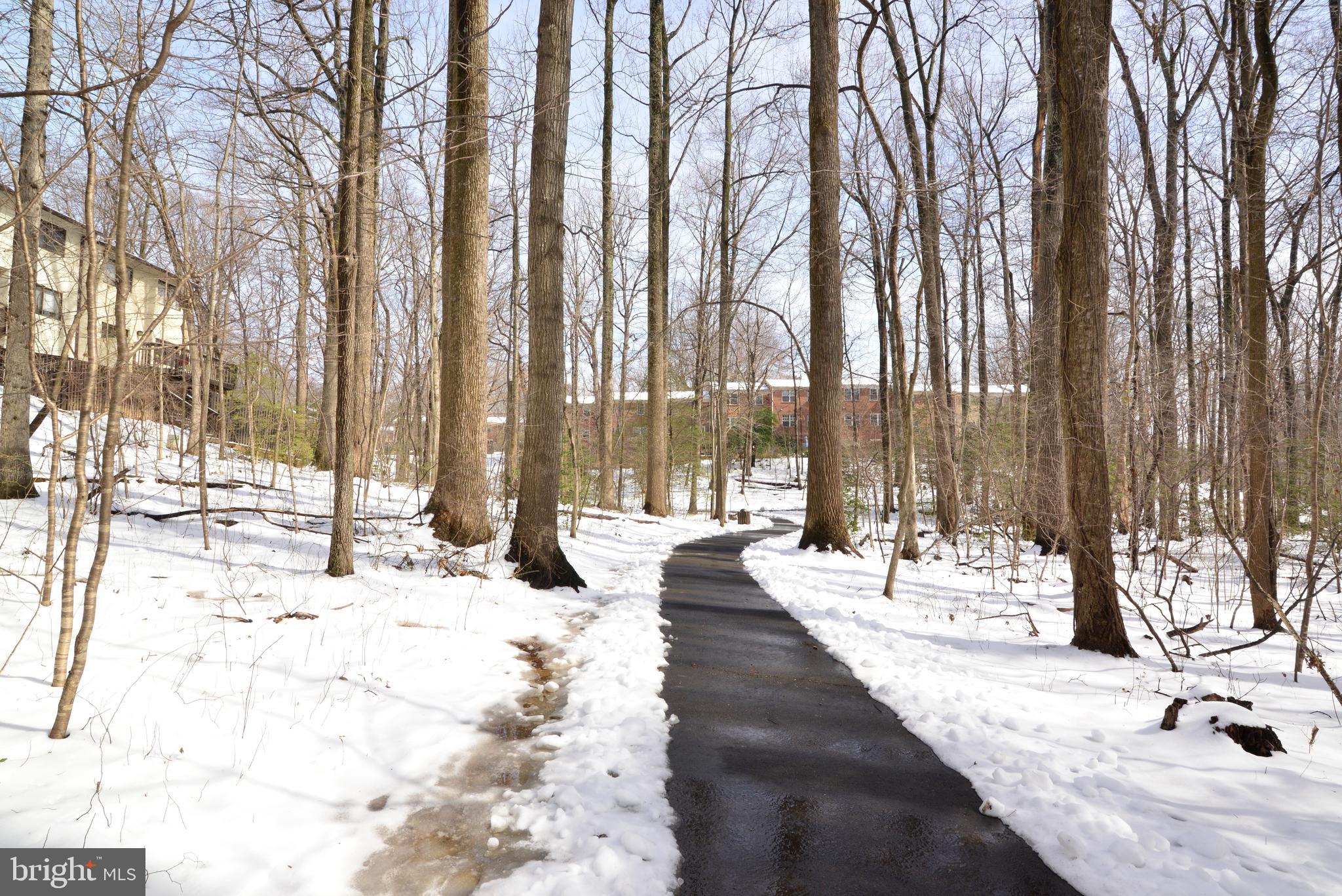 11988 Barrel Cooper Court Reston, VA 20191 - Photo 41 of 43 Gallery Image 41