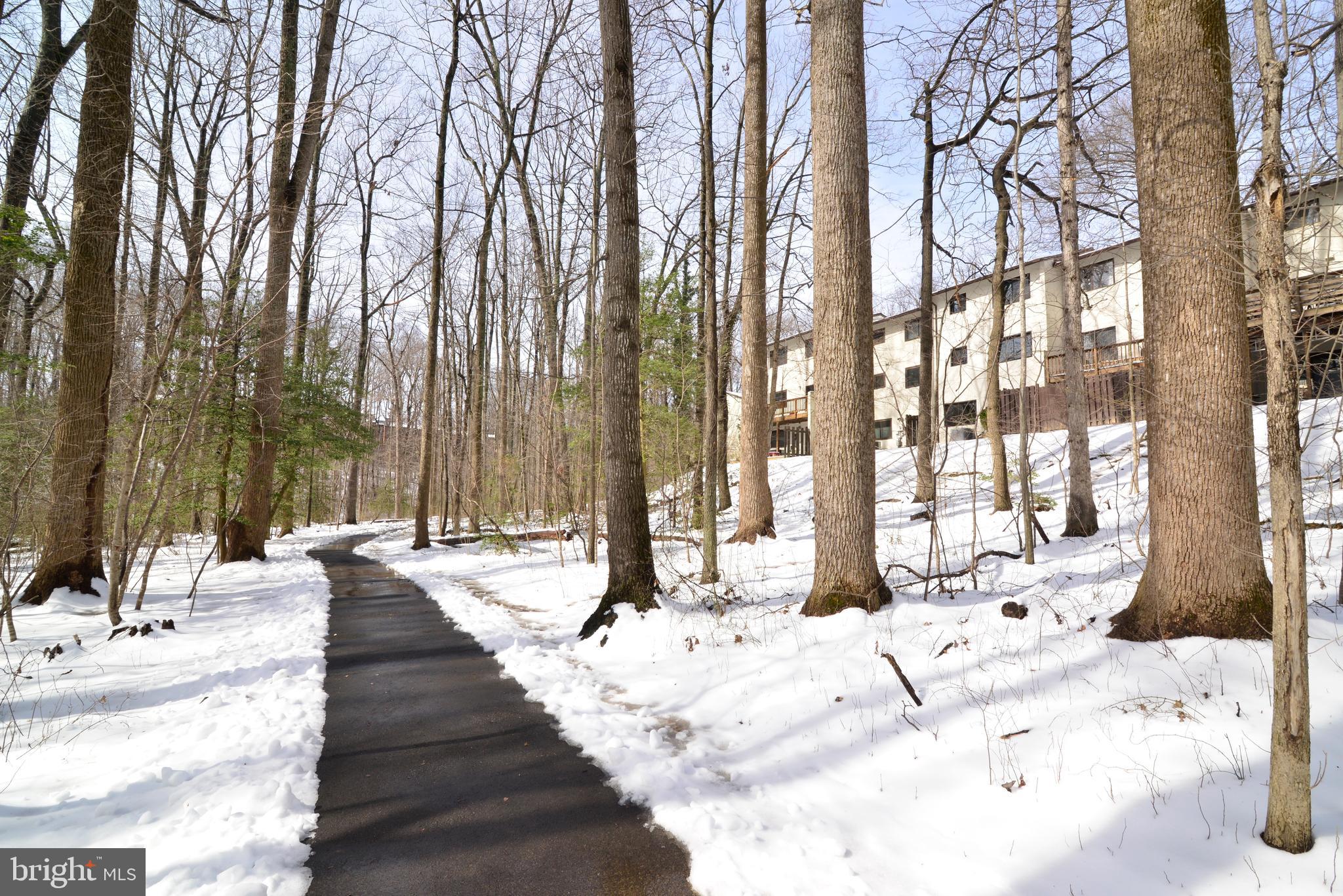 11988 Barrel Cooper Court Reston, VA 20191 - Photo 42 of 43 Gallery Image 42
