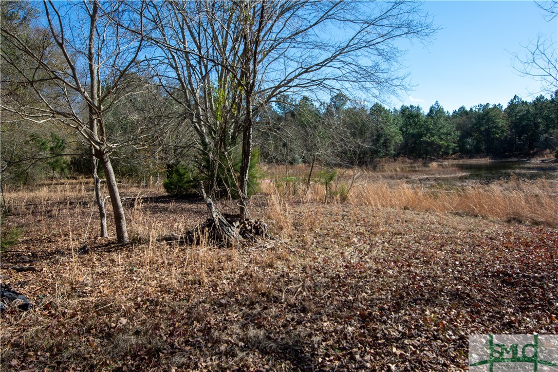 3896 Maria Sorrell Road Statesboro, GA 30461 - Photo 41 of 42 Gallery Image 41