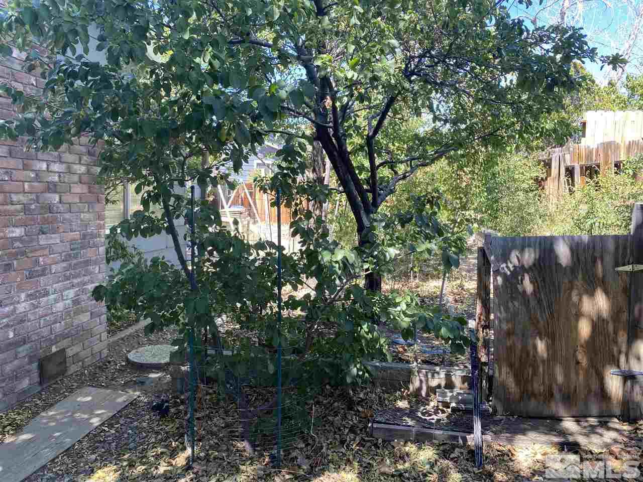3445 Rauscher Drive Reno, NV 89503 - Photo 8 of 12 a backyard of a house with lots of plants and trees