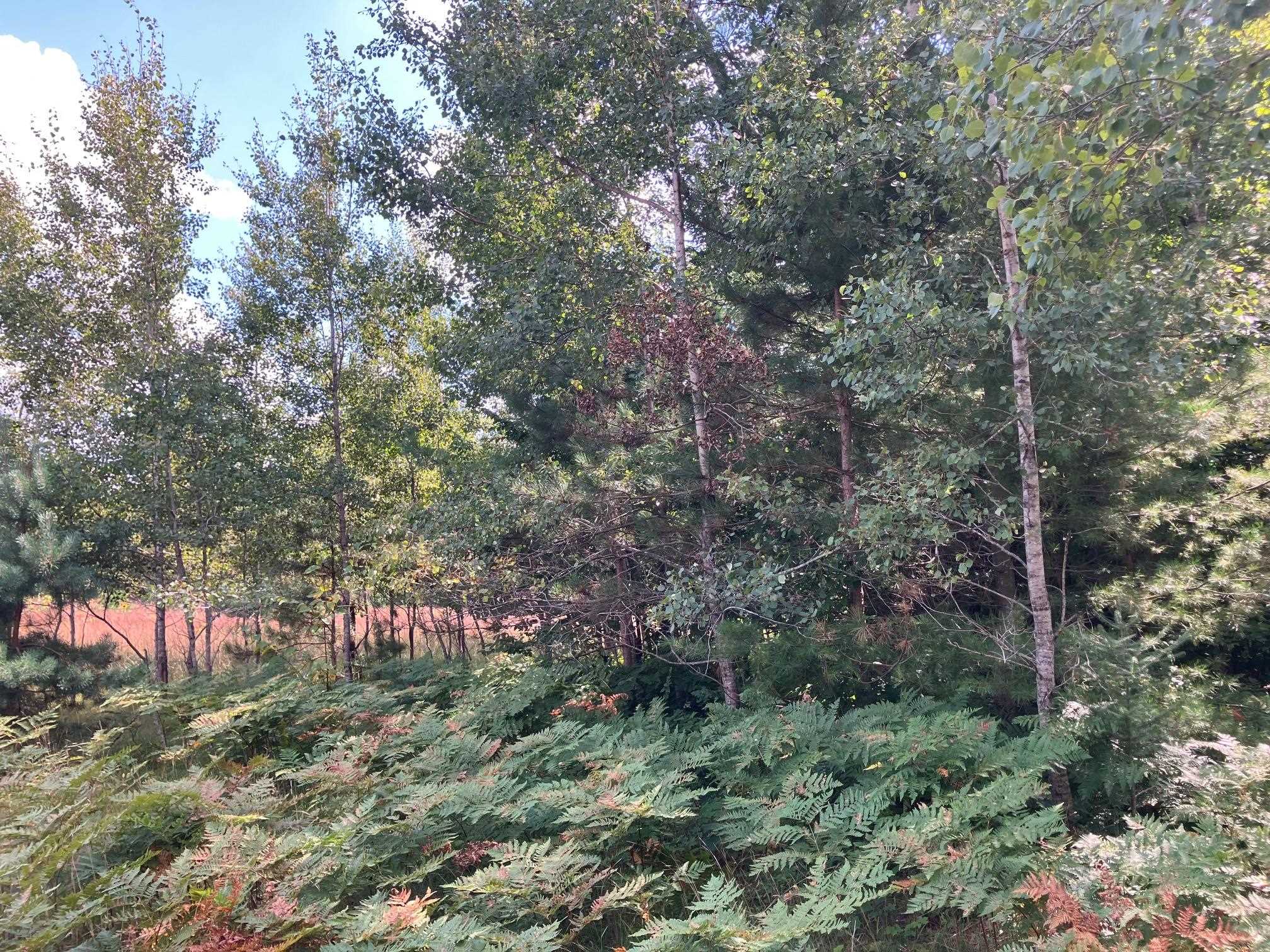 180 Flowing Well Road Kalkaska, MI 49646 - Photo 17 of 20 Gallery Image 17