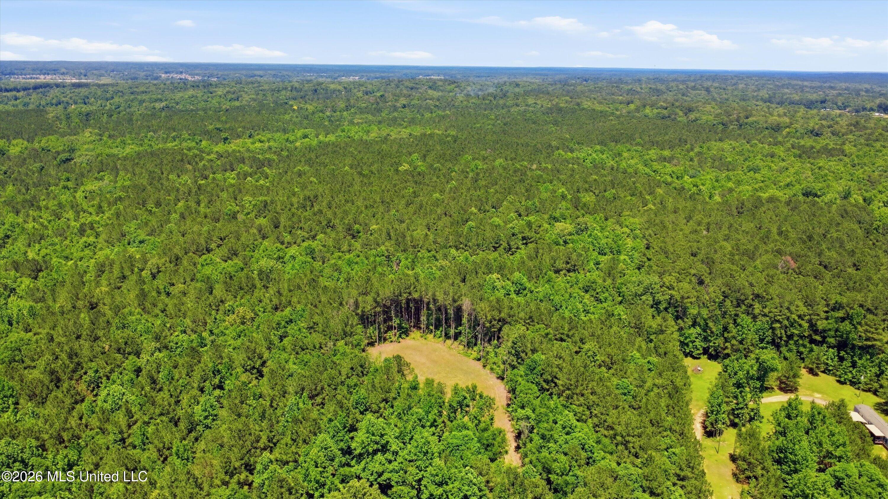 Lake Road Brandon, MS 39042 - Photo 16 of 19 16-Old_Lake_Rd_Drone_016