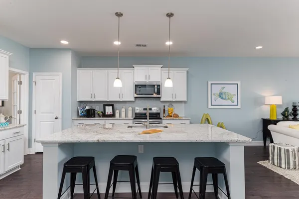 $448,010 | 238 Bantry Lane, Conway, SC 29526