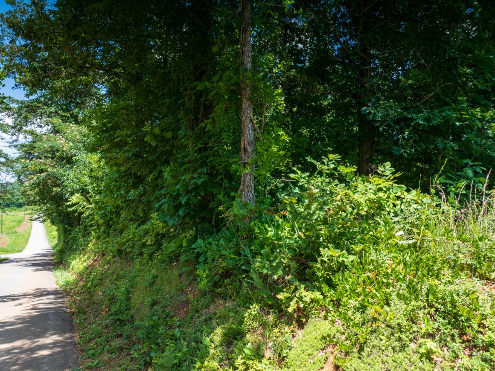 0 McGhee Road Greenback, TN 37742 - Photo 34 of 40