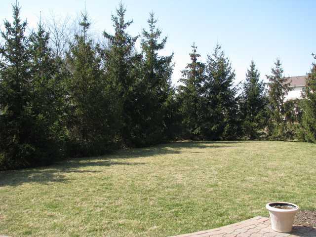 557 Courtright Court Pickerington, OH 43147 - Photo 15 of 15