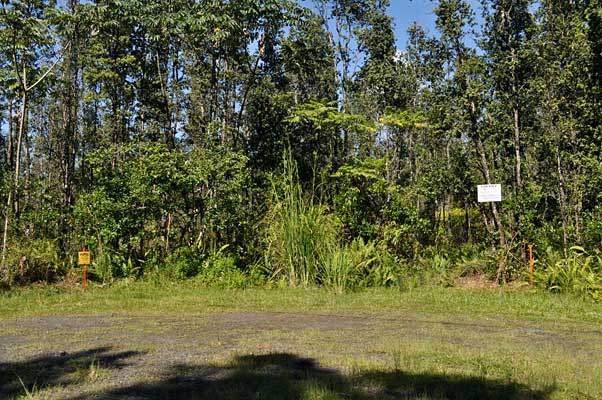 65 Seaview Road Pahoa, HI 96778 - Photo 2 of 10 Gallery Image 2