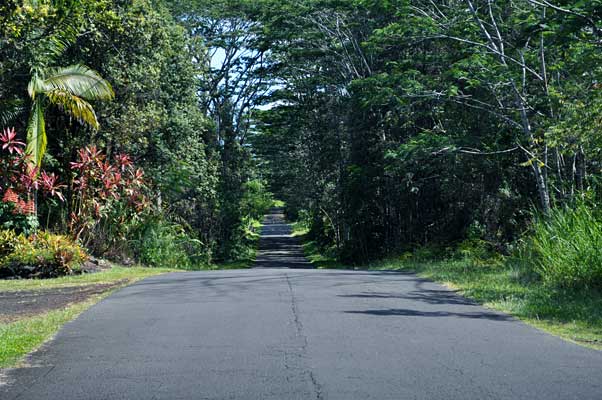 65 Seaview Road Pahoa, HI 96778 - Photo 8 of 10 Gallery Image 8