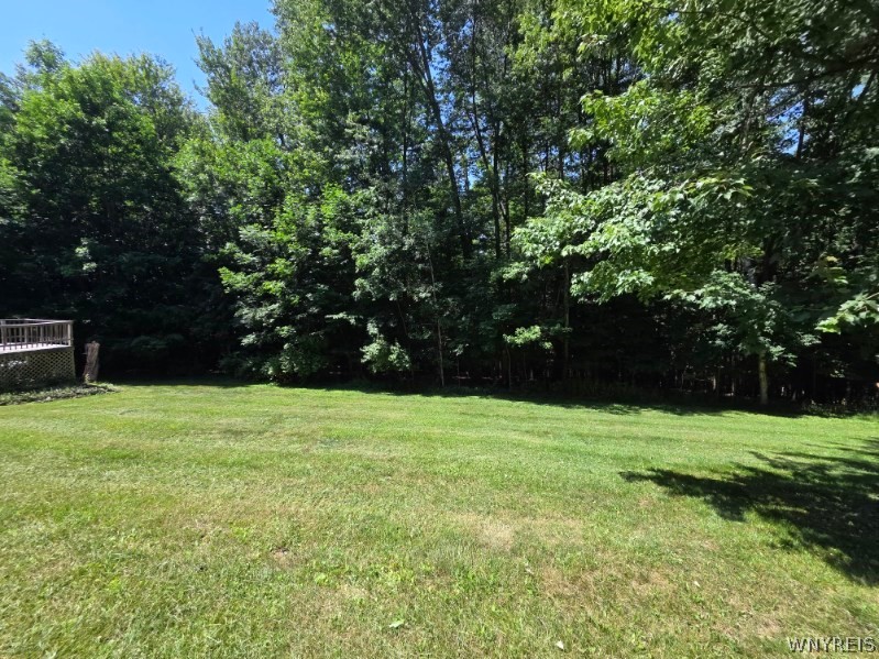 5351 Middle Road Bath, NY 14810 - Photo 5 of 48