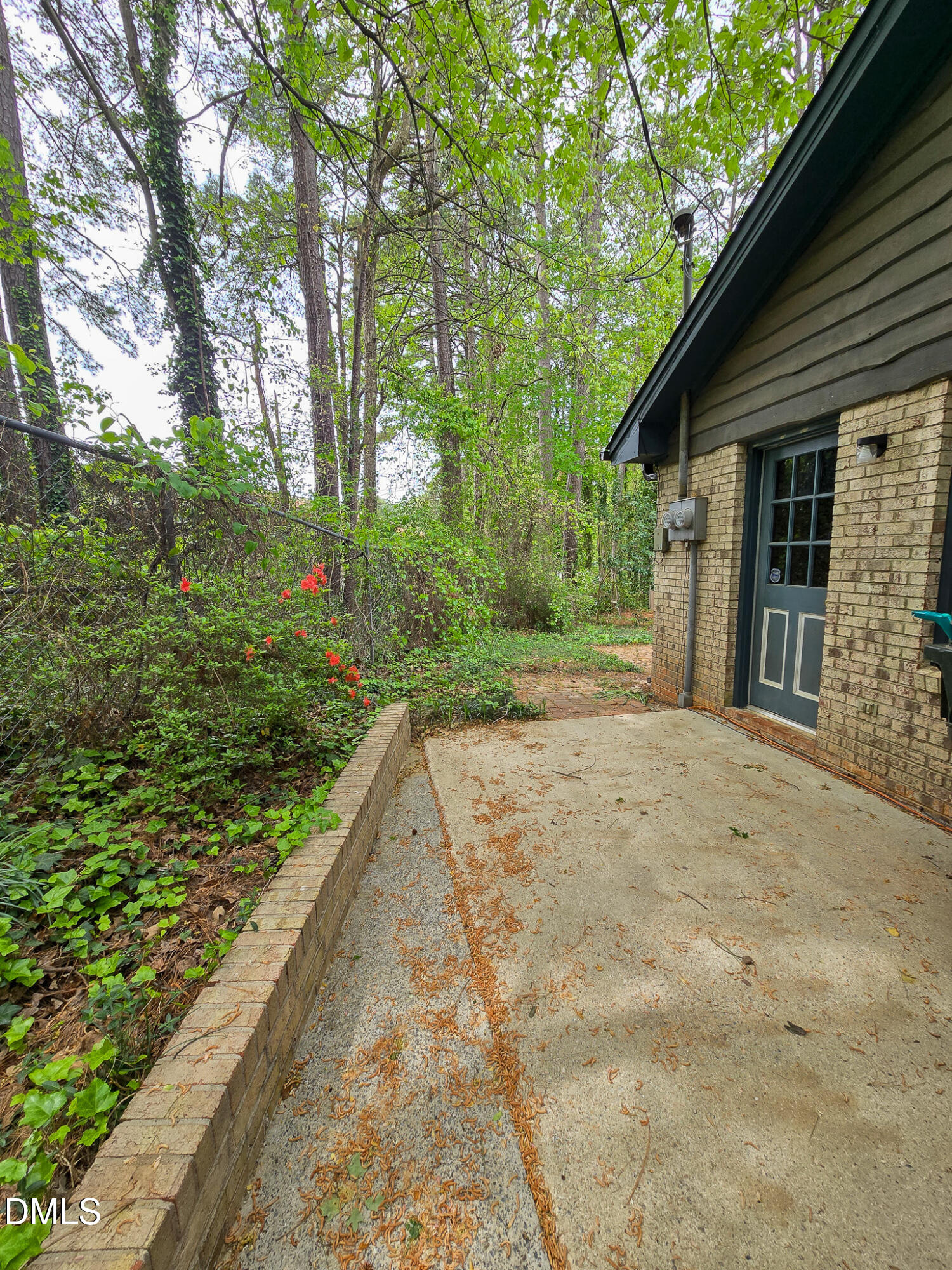 3909 Greenleaf Street Raleigh, NC 27606 - Photo 25 of 27 a view of a backyard with large trees