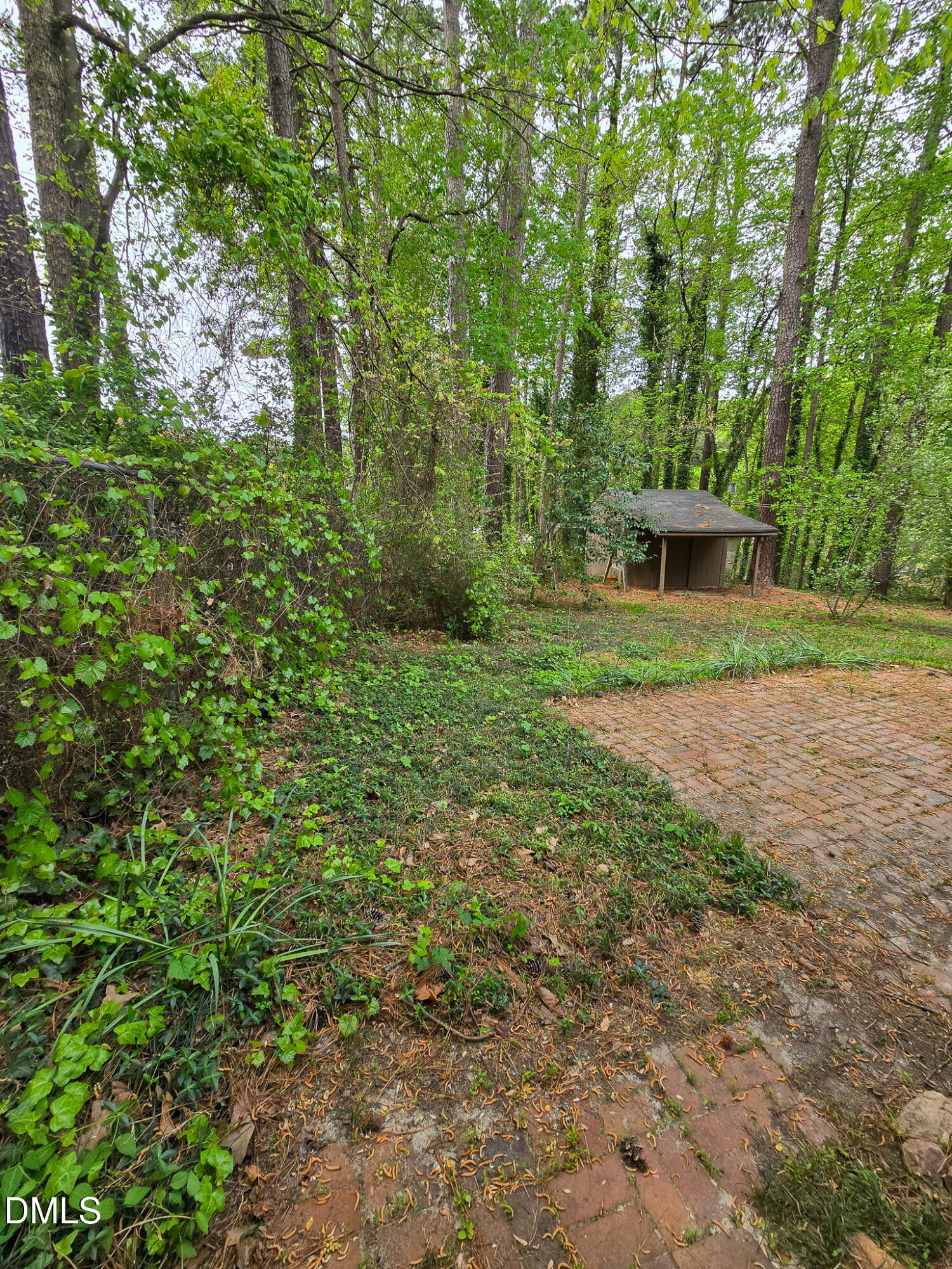 3909 Greenleaf Street Raleigh, NC 27606 - Photo 27 of 27 a view of outdoor space and yard