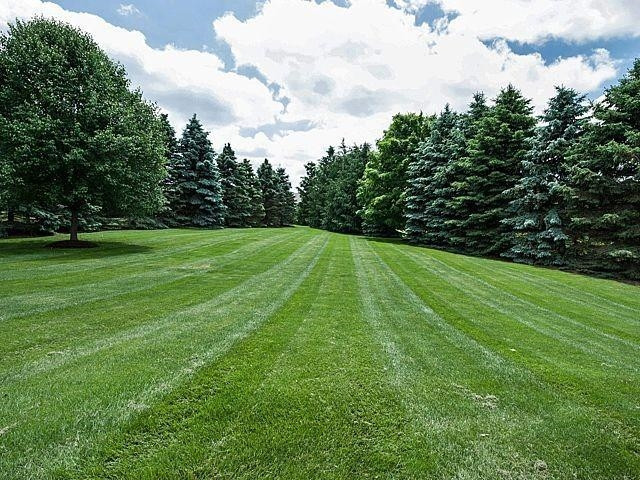 1863 Ridgewood Circle Saline, MI 48176 - Photo 8 of 10 Photo 8