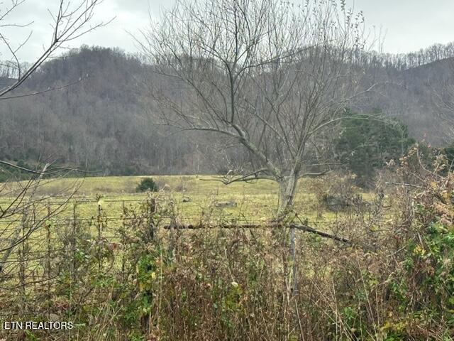 186 Blair Road Dryden, VA 24243 - Photo 8 of 30 IMG_7216