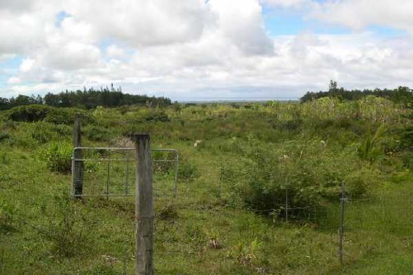 5 Kaohe Homestead Road Pahoa, HI 96778 - Photo 11 of 15 Gallery Image 11