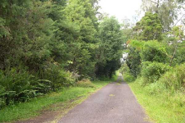 5 Kaohe Homestead Road Pahoa, HI 96778 - Photo 12 of 15 Gallery Image 12
