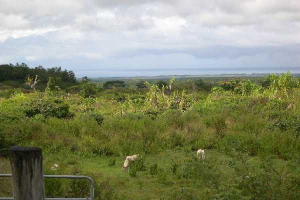 5 Kaohe Homestead Road Pahoa, HI 96778 - Photo 13 of 15 Gallery Image 13