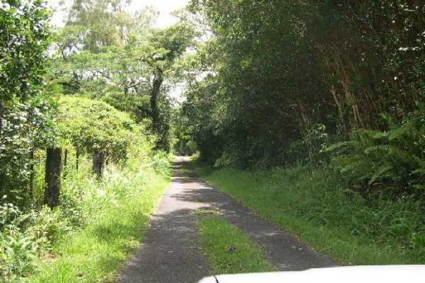 5 Kaohe Homestead Road Pahoa, HI 96778 - Photo 4 of 15 Gallery Image 4