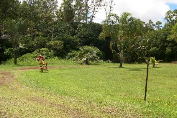 5 Kaohe Homestead Road Pahoa, HI 96778 - Photo 7 of 15 Gallery Image 7