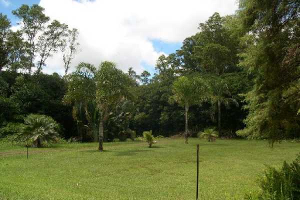 5 Kaohe Homestead Road Pahoa, HI 96778 - Photo 9 of 15 Gallery Image 9