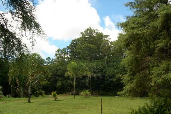 5 Kaohe Homestead Road Pahoa, HI 96778 - Photo 10 of 15 Gallery Image 10